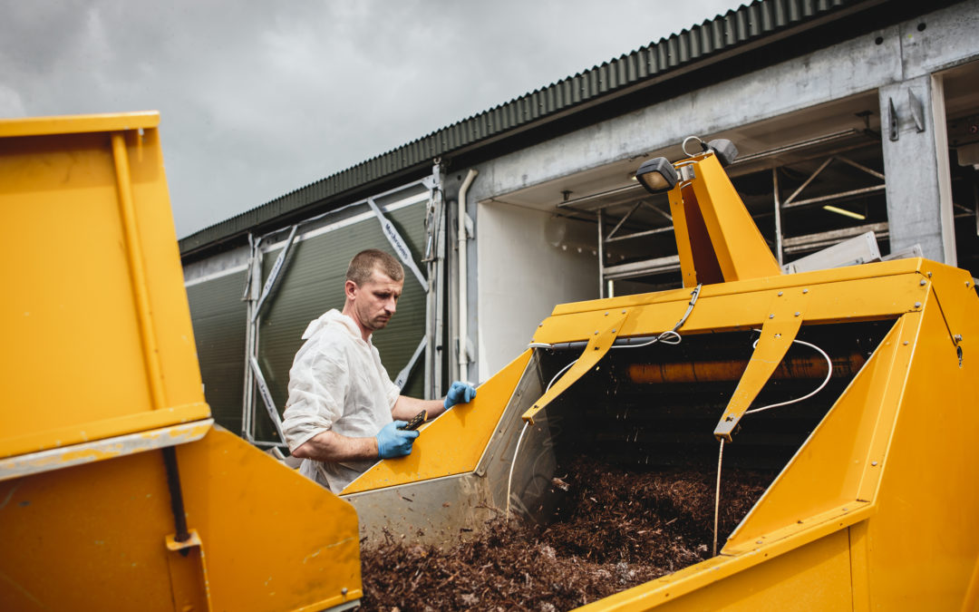 “Bioeconomy policies should be better designed to ensure a cascading use of biomass”